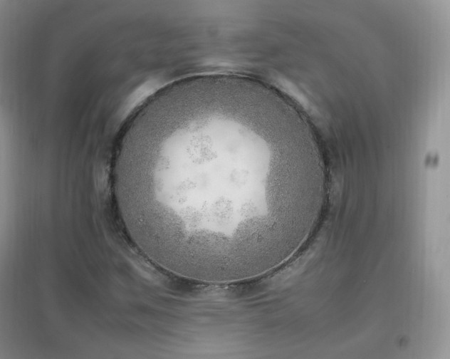 X0000096961259200802081222