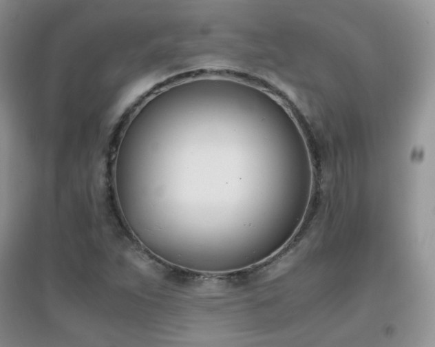 X0000096961263200802081222