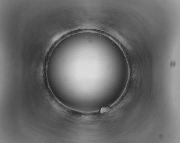 X0000096961264200802081222