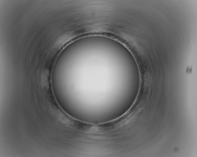 X0000096961265200802081222