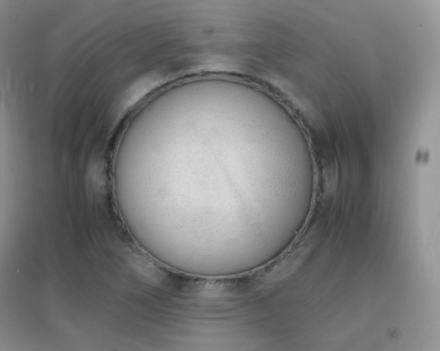 X0000096961266200802081222