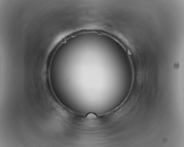 X0000096961270200802081222