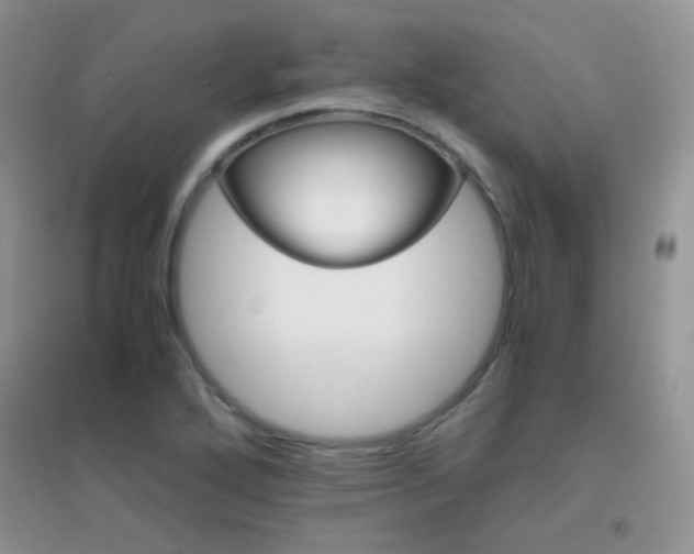 X0000096961272200802081222
