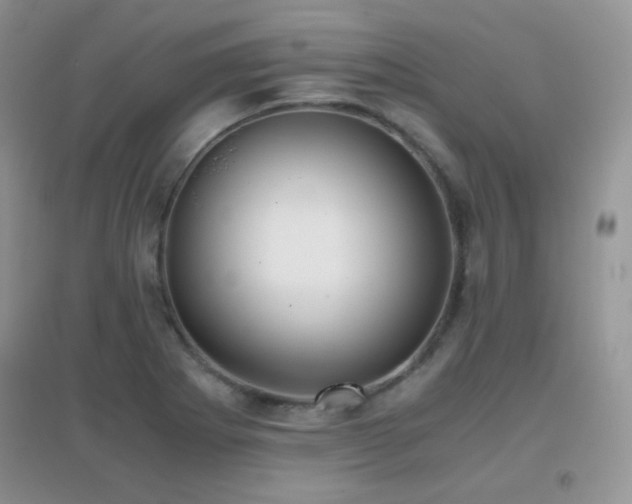 X0000096961273200802081222