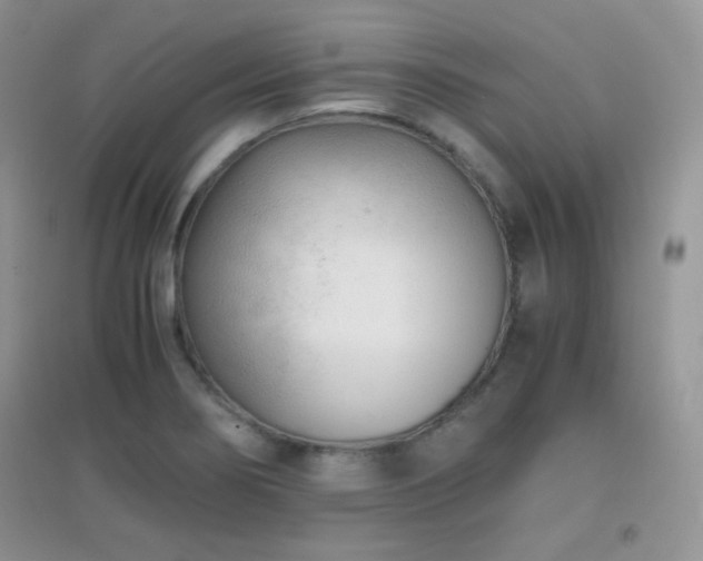 X0000096961274200802081222