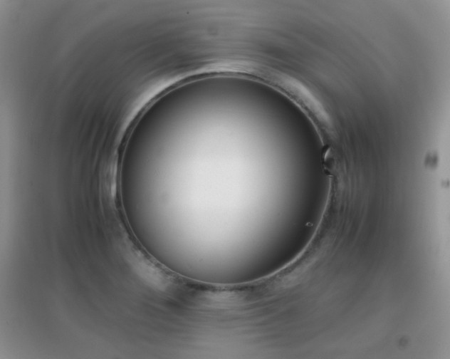 X0000096961276200802081222