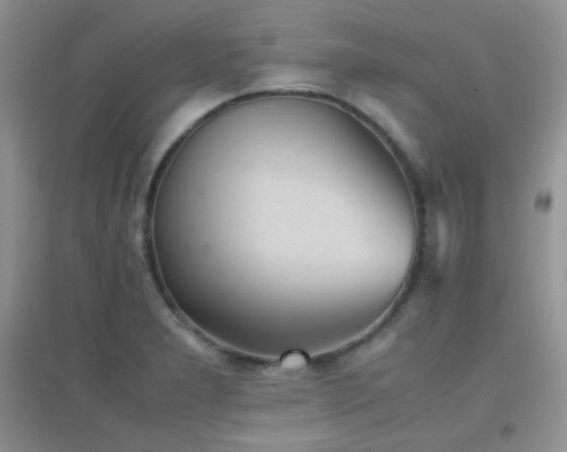 X0000096961277200802081222