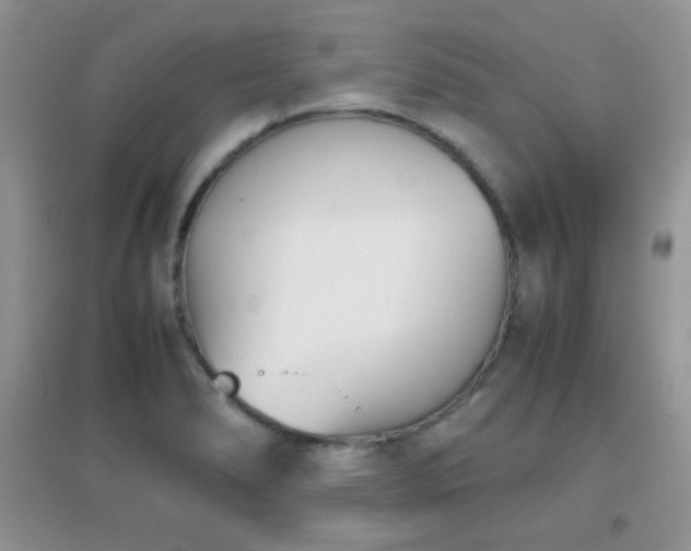 X0000096961278200802081222