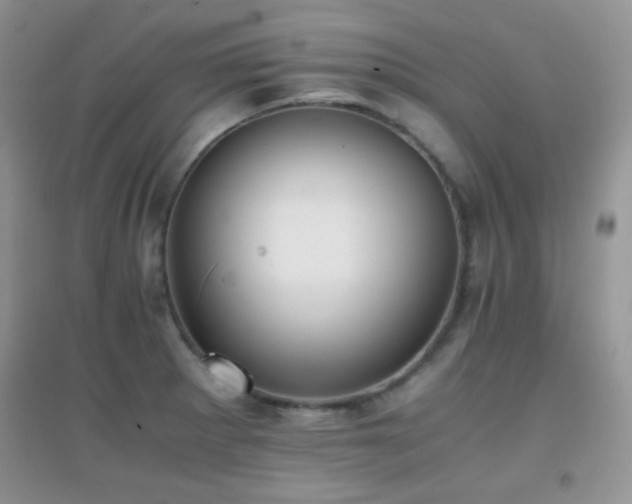 X0000096961281200802081222