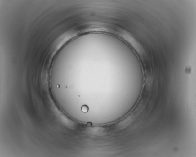X0000096961282200802081222