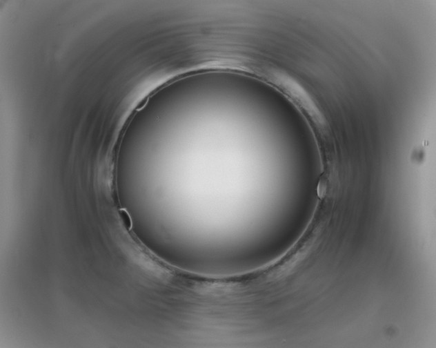 X0000096961284200802081222