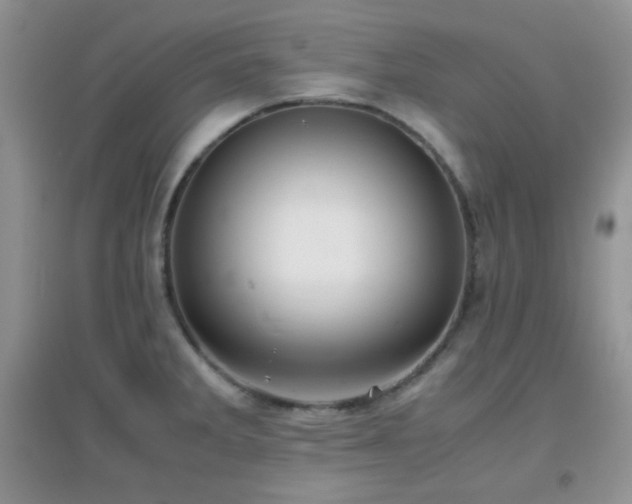 X0000096961285200802081222