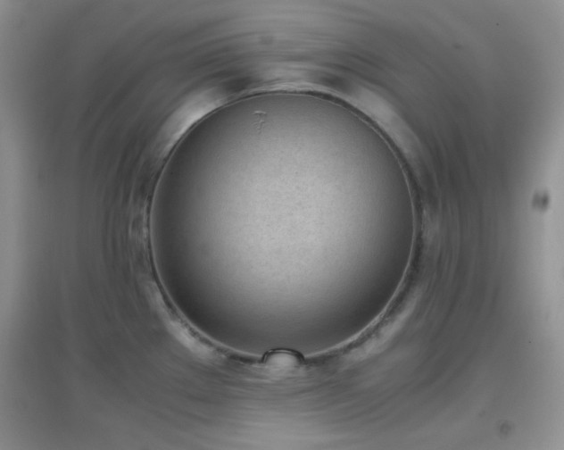X0000096961289200802081222