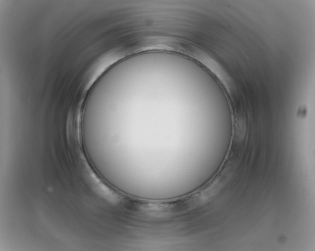 X0000096961290200802081222