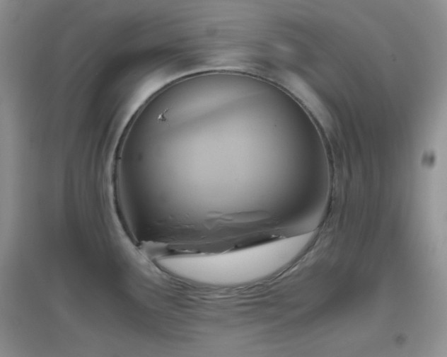 X0000096961291200802081222