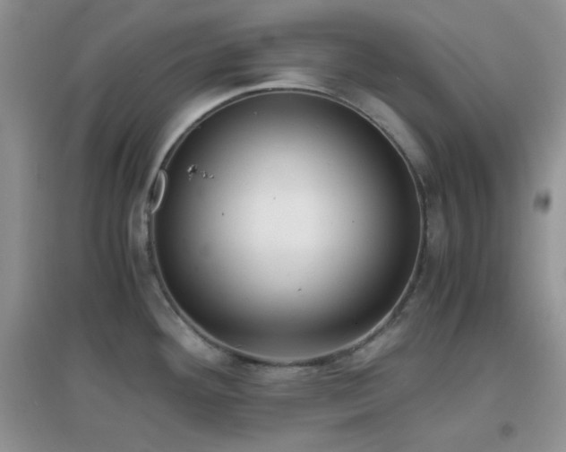 X0000096961292200802081222