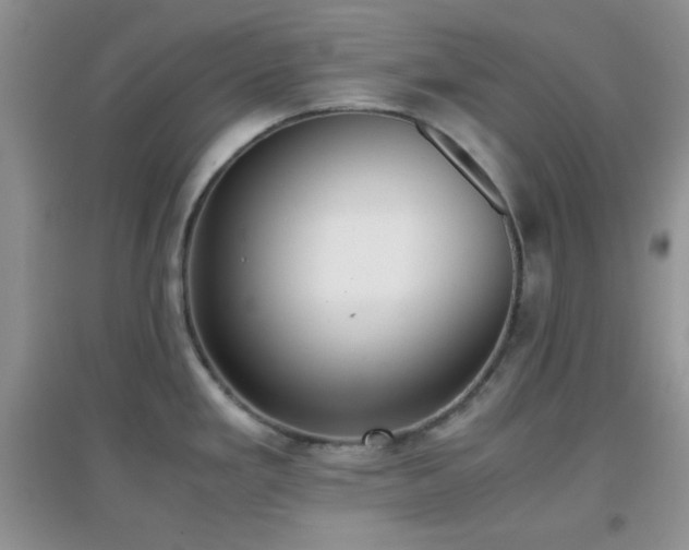 X0000096961293200802081222