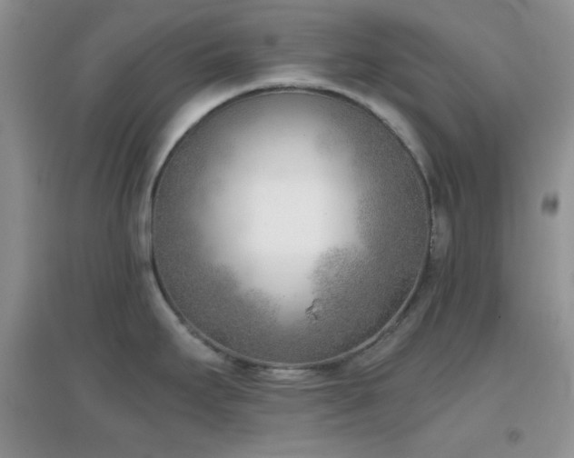 X0000096961295200802081222