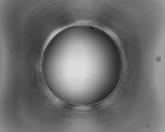 X0000096961296200802081222
