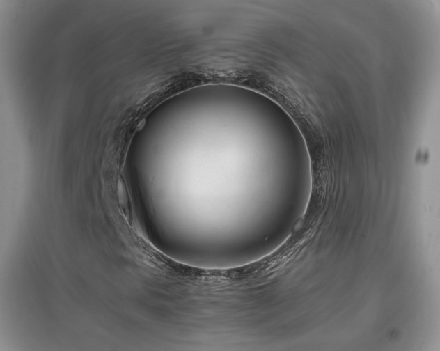 X0000096961297200802081221