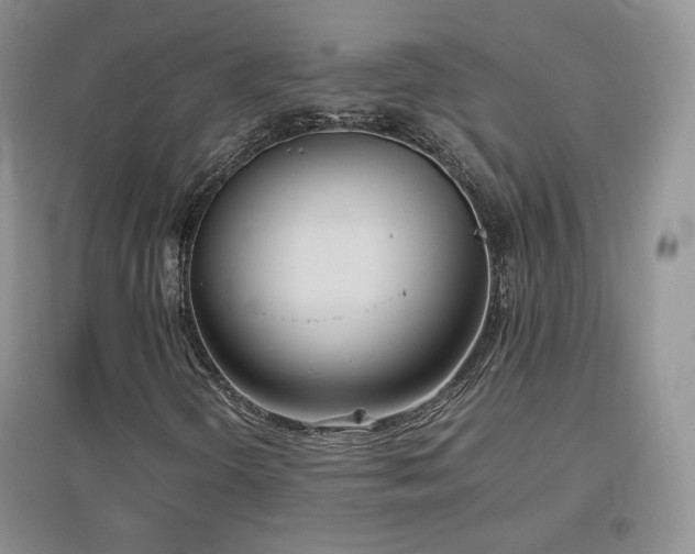 X0000096961298200802081221
