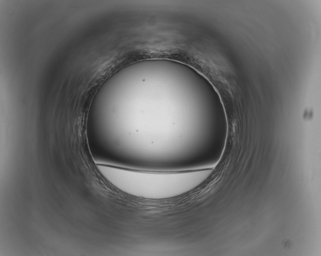 X0000096961300200802081221