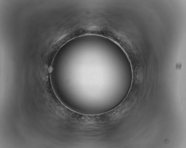 X0000096961301200802081221