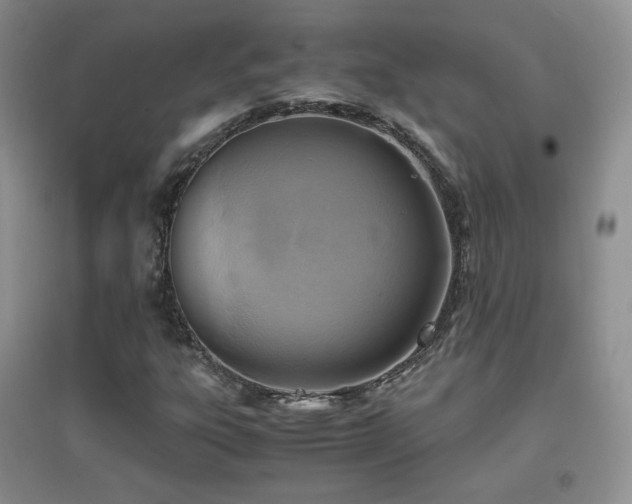 X0000096961303200802081221
