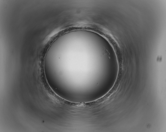 X0000096961304200802081221