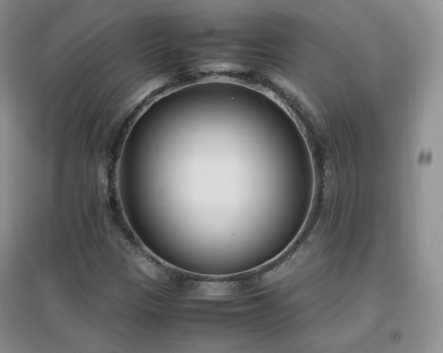 X0000096961305200802081221