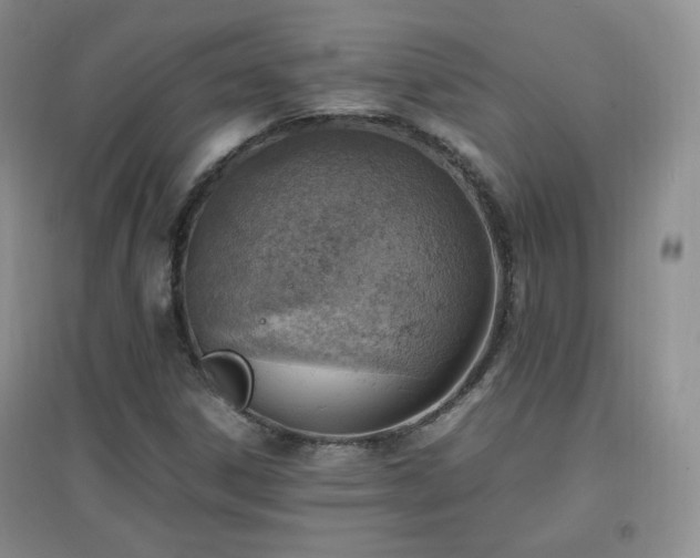 X0000096961306200802081221