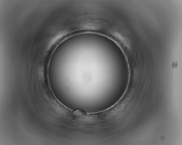 X0000096961307200802081221