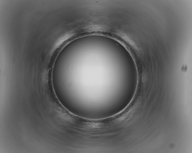 X0000096961309200802081221