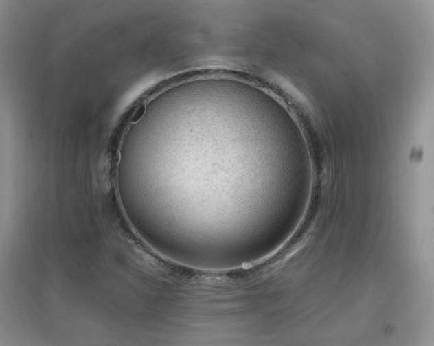 X0000096961310200802081221