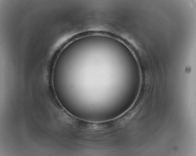 X0000096961311200802081221