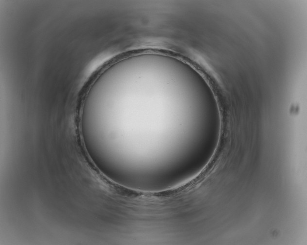 X0000096961312200802081221