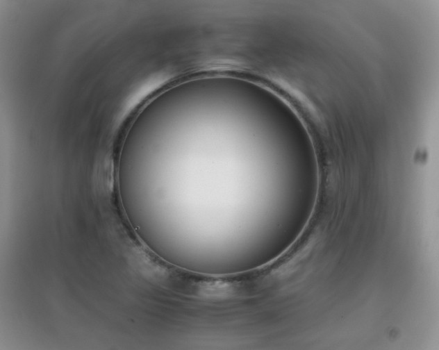 X0000096961317200802081222