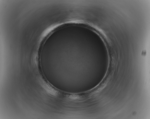 X0000096961319200802081222