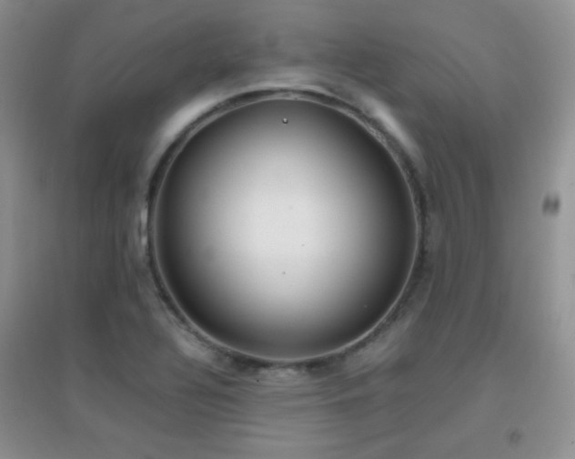 X0000096961320200802081222