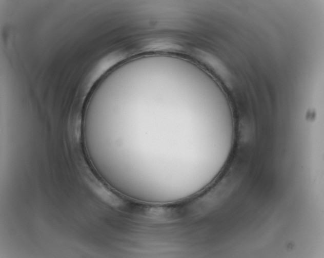 X0000096961322200802081222