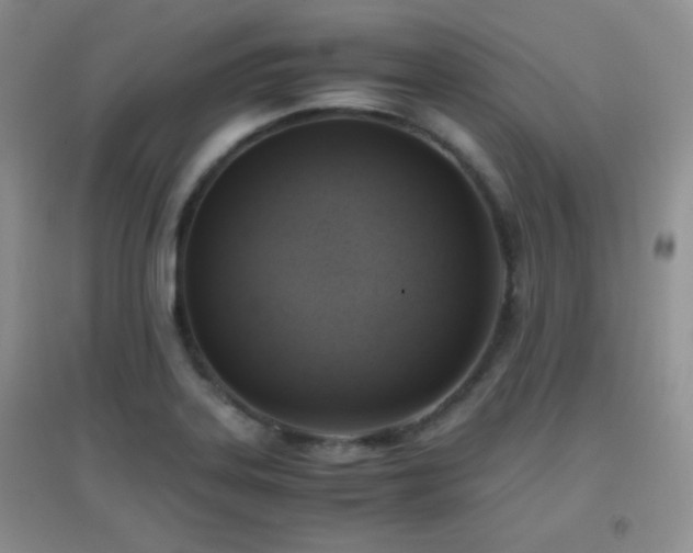 X0000096961323200802081222