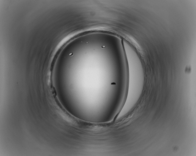 X0000096961324200802081222