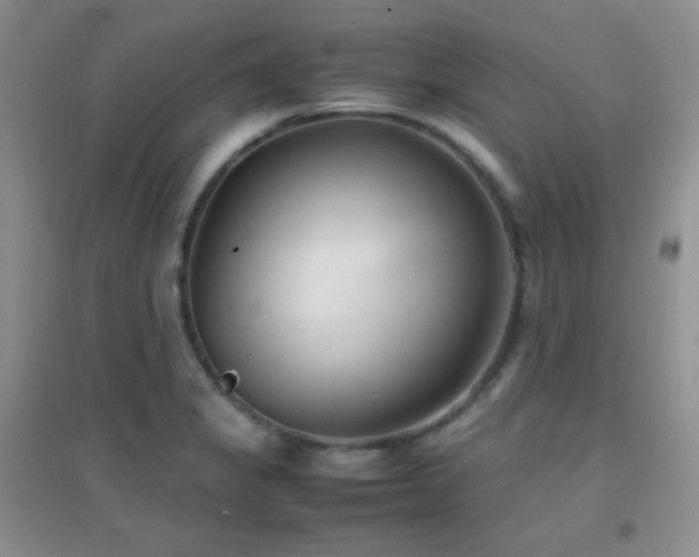 X0000096961325200802081222