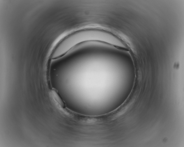 X0000096961326200802081222