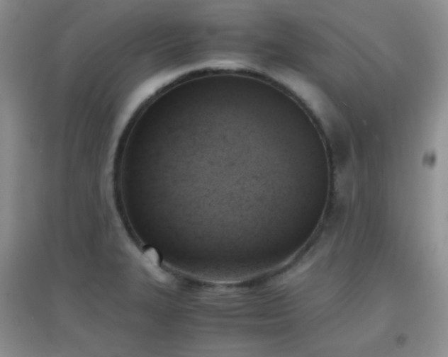 X0000096961327200802081222
