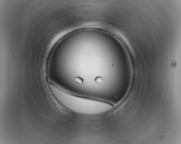 X0000096961328200802081222