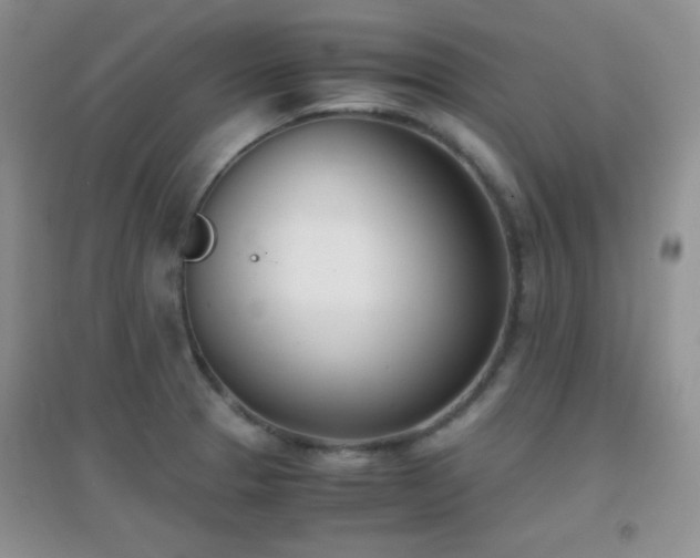 X0000096961329200802081222