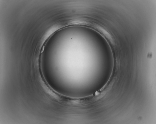 X0000096961330200802081222