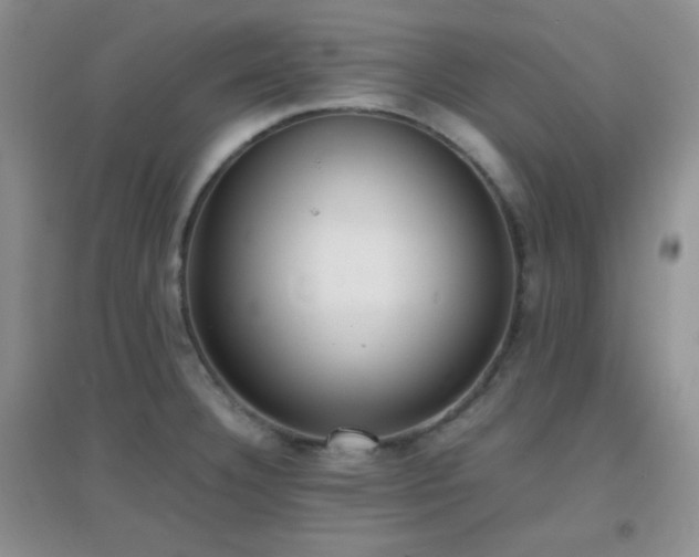 X0000096961332200802081222