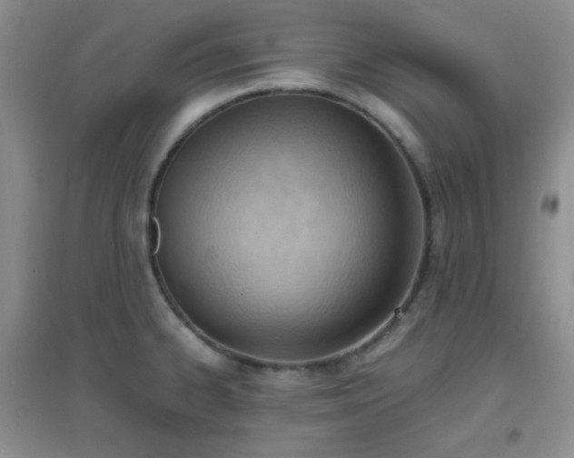 X0000096961334200802081222